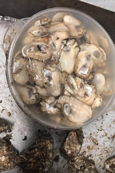From frozen to thawed, oysters retain their flavor and are as good as fresh-shucked. (Photo credit: Corina Corina Internet archive)