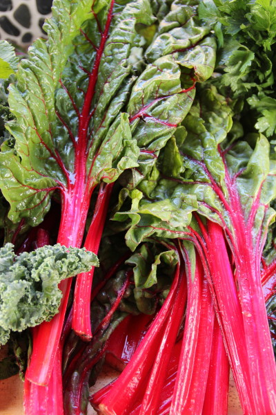 Swiss Chard is used in many Cajun recipes.