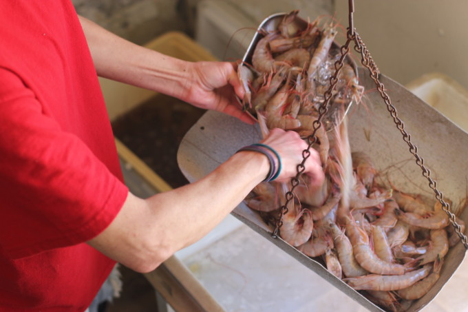 Fresh shrimp for a Gulf Coast Shrimp Boil Gulf Coast Shrimp Boil is a classic Cajun recipe