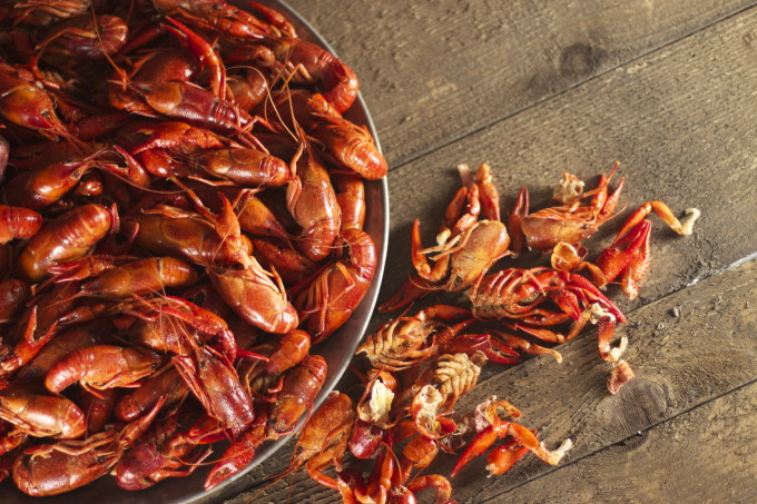 Boiled Crawfish are one of the classic Cajun recipe ingredients of Cajun cooking.