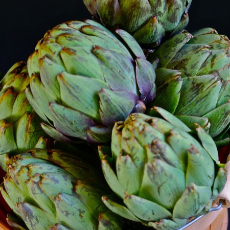 Artichokes - Lafayette, Louisiana