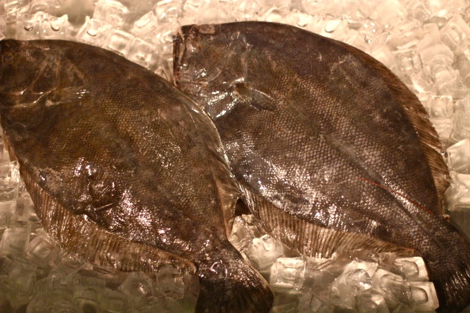 Flounder is a classic Cajun food ingredient and among the Cajun recipes I love out of all Cajun cooking. Fresh Flounder is used in many Stuffed Whole Flounder recipe.