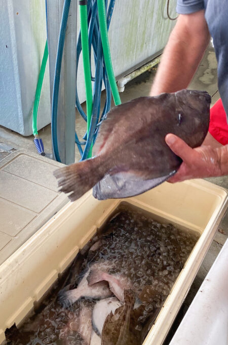 Captain Al Granger selects a perfectly sized flounder for my recipe.