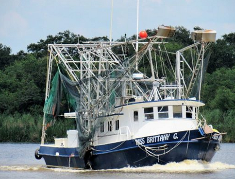 Bringing in the fresh catch, the Granger family is a proud Louisiana fishing family.