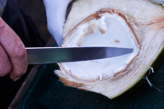 Coconut meat Coconut meat can be used in Cajun recipes like this Coconut Shrimp