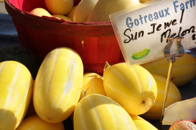 Sun Jewel Melons Sun Jewel Melons for Melon Ice Cream.
