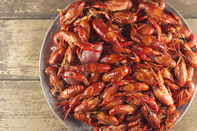 For some, tackling a platter of steaming hot boiled crawfish is unfamiliar territory. (All photos credit: George Graham)