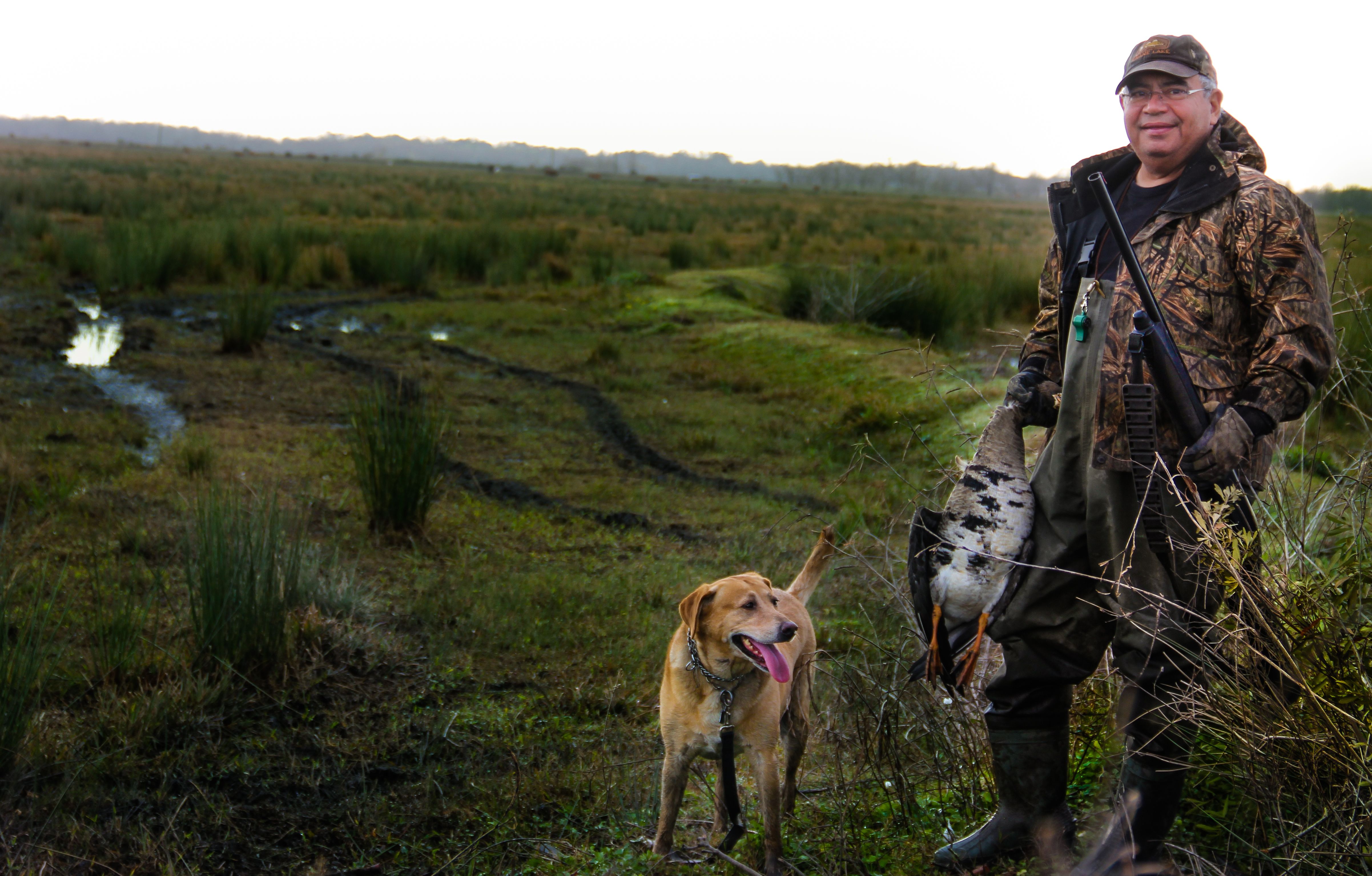 The first goose of the morning.