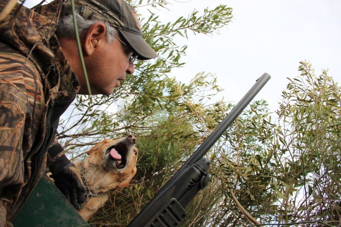 Don Bacque and Dazzle In the blind and ready.