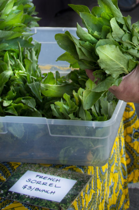 With a lemony accent, French sorrel pairs perfectly with fish.
