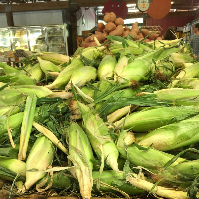 Fresh corn on the cob is key to many Cajun recipes.