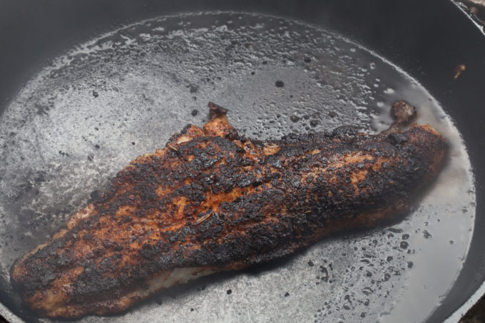 Blackened Catfish black iron skillet Blackened outdoors in a cast-iron skillet is the only way to go for this Blackened Catfish recipe.