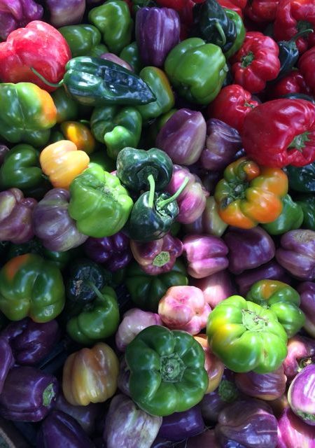 A pepper rainbow of inspiration.