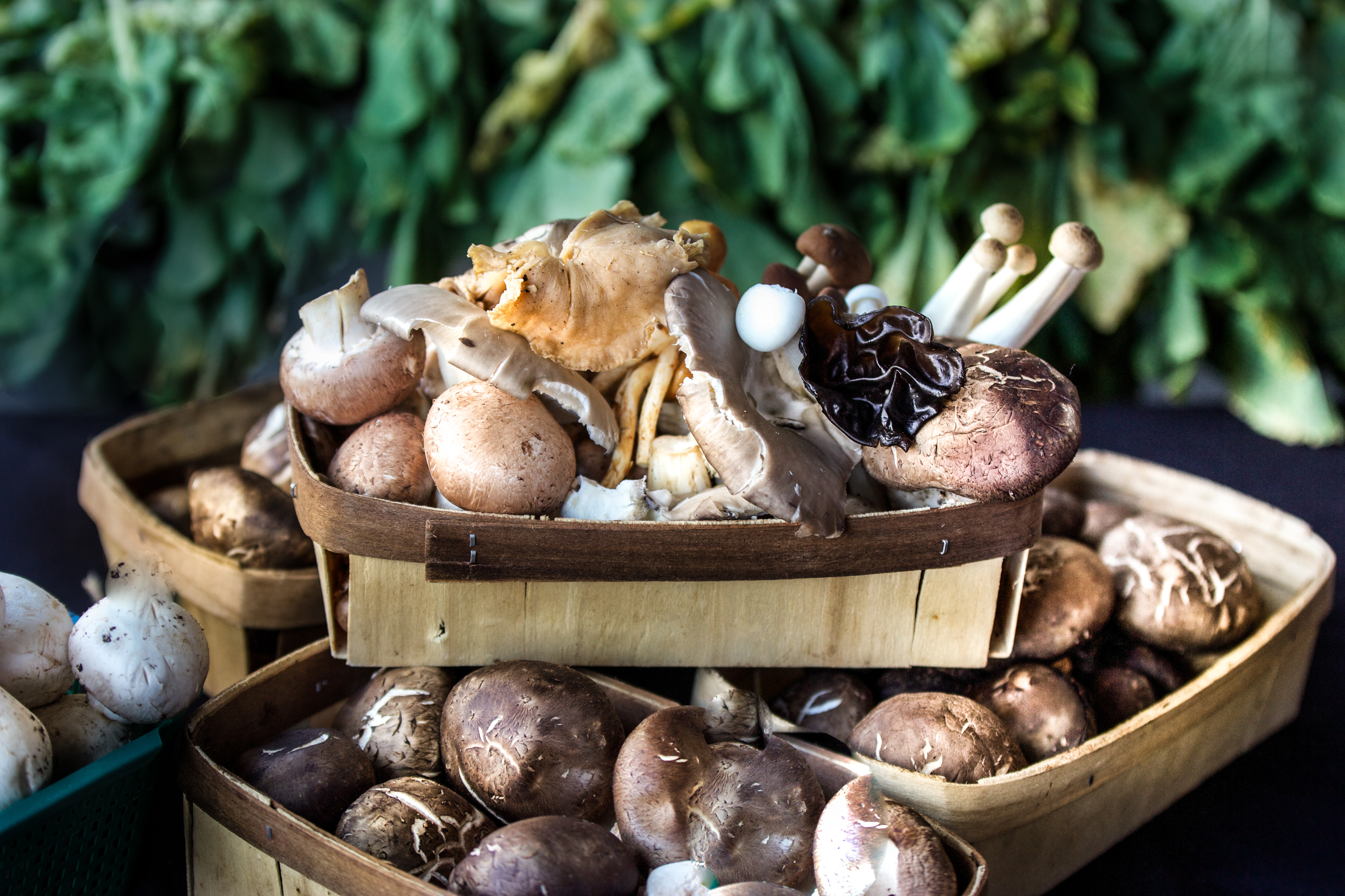 A variety of mushrooms conveniently boxed and ready for my recipe.