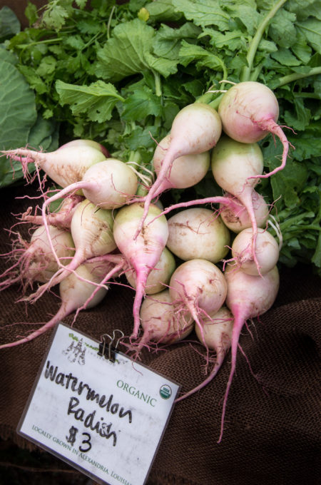 These spicy watermelon radishes have a slight peppery twang.