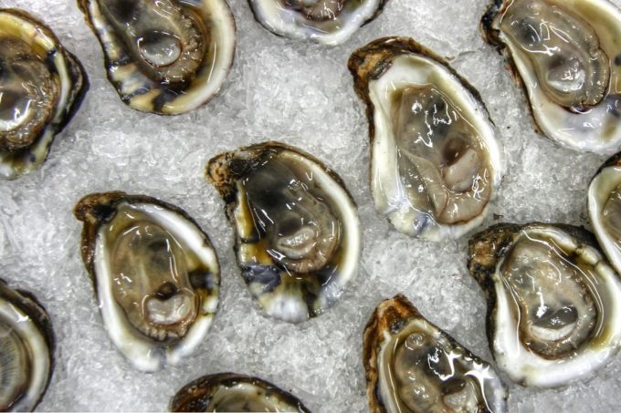 Oysters on ice at Felix’s Oyster Bar Raw Oyster Half Shell at Felix’s Oyster Bar