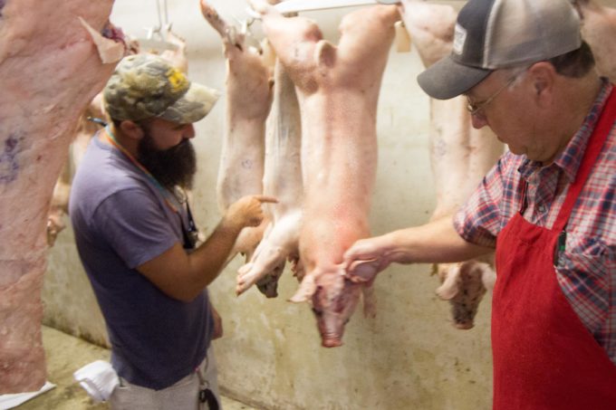 Pig Roast Kirk and Max w pigs lores