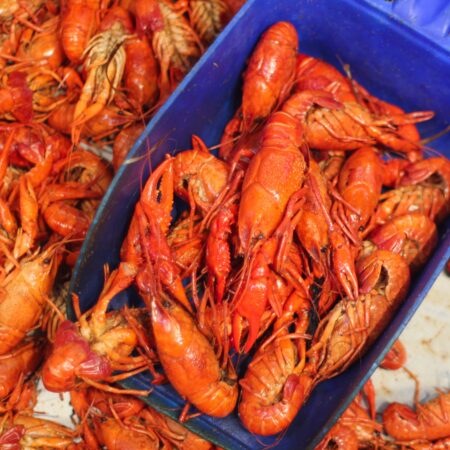 Louisiana crawfish needs your help! (All photos credit: George Graham)