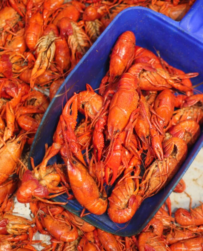 Louisiana crawfish needs your help! (All photos credit: George Graham)