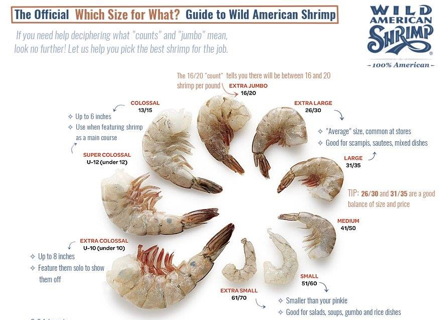 LDS Shrimp Size Chart