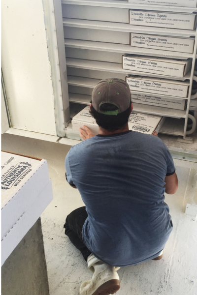 A deckhand places a box of shrimp into a plate-freezing unit. (Photo credit: Thomas Hymel)