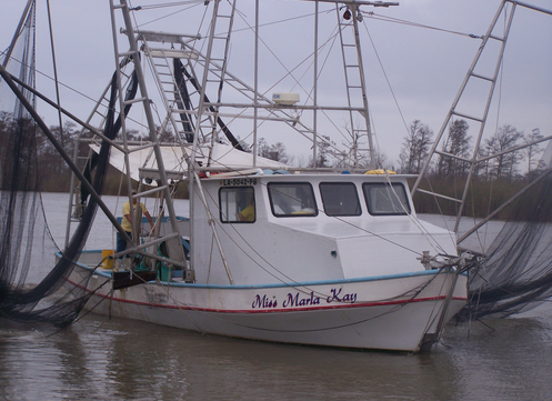 Acy's shrimp boat brings fresh Gulf shrimp to the docks in Venice. (Photo credit: Internet archive)