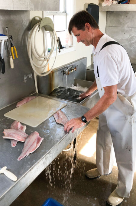 Douglas Olander fillets black drum for packing. (Photo credit: George Graham)