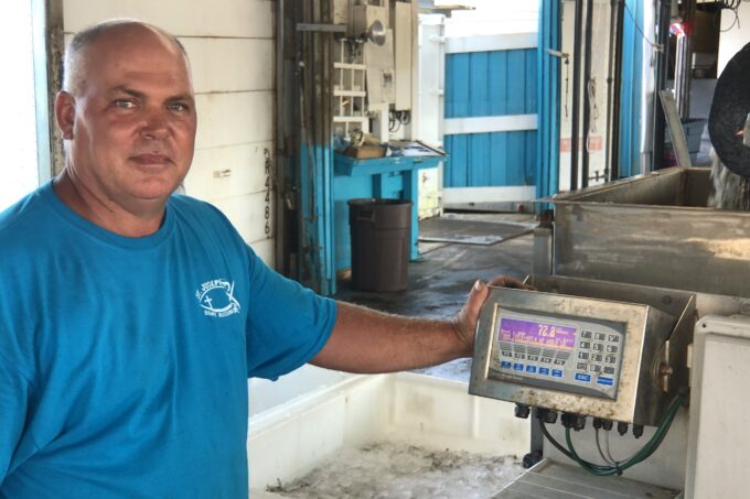 Chad Portier on his dock grading shrimp. (Photo credit: George Graham)